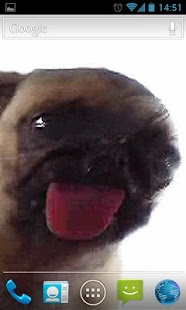 Download Dog Licker Live Wallpaper FREE